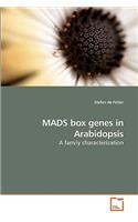 MADS box genes in Arabidopsis
