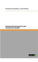 Zwangsvollstreckungsrecht in der Tschechischen Republik