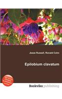 Epilobium Clavatum: (English)