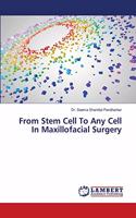 From Stem Cell To Any Cell In Maxillofacial Surgery