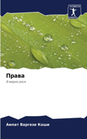 Права