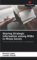 Sharing Strategic Information among MSEs in Minas Gerais