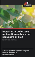 Importanza delle zone umide di Ñeembucu nel sequestro di CO2