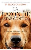 La Razon de Estar Contigo