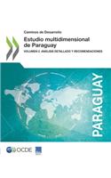 Caminos de Desarrollo Estudio Multidimensional de Paraguay Volumen 2. Análisis Detallado Y Recomendaciones