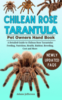 Chilean Rose Tarantula