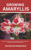 Growing Amaryllis