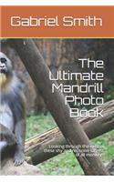 The Ultimate Mandrill Photo Book: Looking through the eyes of these shy and reclusive largest of all monkeys
