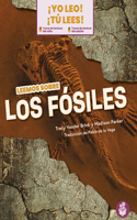 Leemos Sobre Los Fósiles (We Read about Fossils)