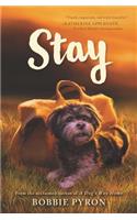 Stay