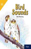 Bird Sounds: Leveled Reader Grade 1