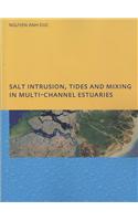 Salt Intrusion, Tides and Mixing in Multi-Channel Estuaries