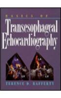 Basics of Transesophageal Echocardiography