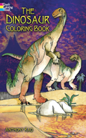 Dinosaur Coloring Book