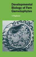 Developmental Biology of Fern Gametophytes: (Series Number 20 Developmental and Cell Biology Series)