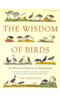 Wisdom of Birds