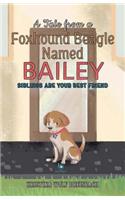 Tale From a Foxhound Beagle Named Bailey