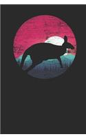 Kangaroo Moon