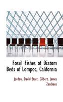 Fossil Fishes of Diatom Beds of Lompoc, California