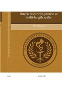 Physical Properties of Polysaccharides and Their Interactions with Protein at Multi-Length Scales