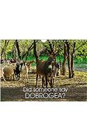 Did Someone Say Dobrogea? 2017