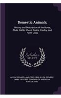 Domestic Animals;: History and Description of the Horse, Mule, Cattle, Sheep, Swine, Poultry, and Farm Dogs,