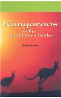 Kangaroos in the Land Down Under