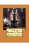 Tricky Fountain of Youth