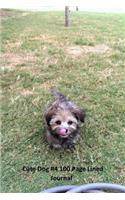 cute dog #4