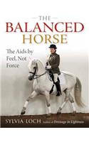 The Balanced Horse