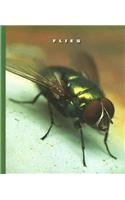 Flies