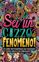 Sei un c*zzo di fenomeno