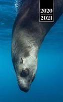 Seal Manatee Sea Lion Cow Walrus Dugong Week Planner Weekly Organizer Calendar 2020 / 2021 - Dive In