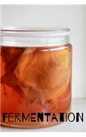 fermentation