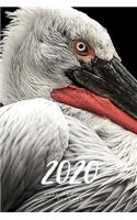 2020 Weekly & Monthly Planner