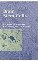 Brain Stem Cells