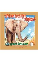 The African Bush Fire and the Elephant