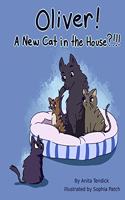 Oliver! A New Cat in the House?!!!