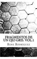 Fragmentos de un ojo gris.