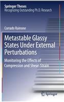 Metastable Glassy States Under External Perturbations: Monitoring the Effects of Compression and Shear-strain(Springer Theses)