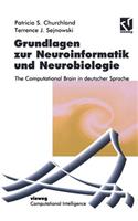 Grundlagen Zur Neuroinformatik Und Neurobiologie