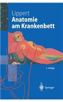 Anatomie Am Krankenbett