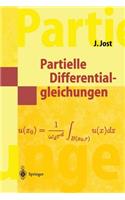 Partielle Differentialgleichungen: Elliptische (und parabolische) Gleichungen(Masterclass)