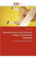 Évaluation Du Prurit Chez Les Chiens À Dermatite Atopique