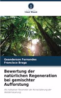 Bewertung der natürlichen Regeneration bei gemischter Aufforstung