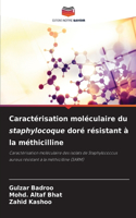 Caractérisation moléculaire du staphylocoque doré résistant à la méthicilline