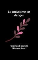 socialisme en danger