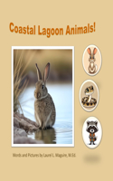 Coastal Lagoon Animals!
