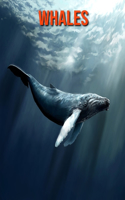 Whales: Fun Facts & Cool Pictures