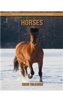 Horses: Fun Facts and Amazing Photos about Horses